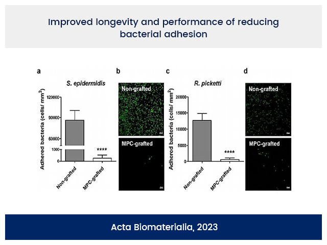 Anti-Biofouling Anti-Biofouling